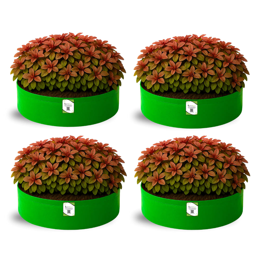 OrganicBazar 18x6 Grow Bag for Leafy Vegetables, Premium HDPE 260 GSM, Green Plant Bags for Terrace Garden