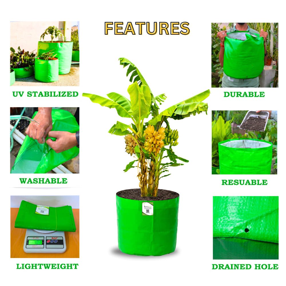 OrganicBazar 21x21 Big Size Grow Bags for Terrace Gardening, Premium HDPE 260 GSM Green Plant Bag for Fruit Tree