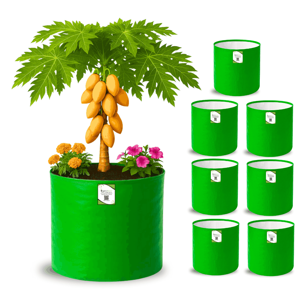OrganicBazar 21x21 Big Size Grow Bags for Terrace Gardening, Premium HDPE 260 GSM Green Plant Bag for Fruit Tree