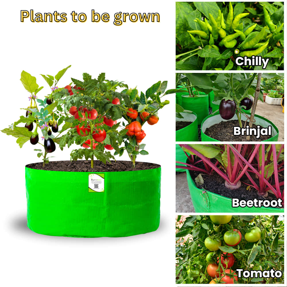 OrganicBazar 24x12 Big Size Grow Bags for Home and Terrace Garden, Premium HDPE 260 GSM Green Plant Bag