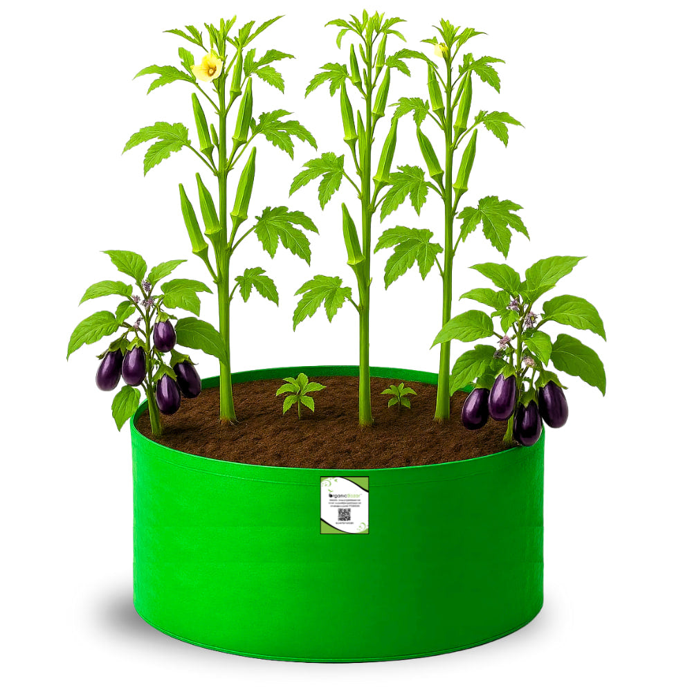 OrganicBazar 24x12 Big Size Grow Bags for Home and Terrace Garden, Premium HDPE 260 GSM Green Plant Bag