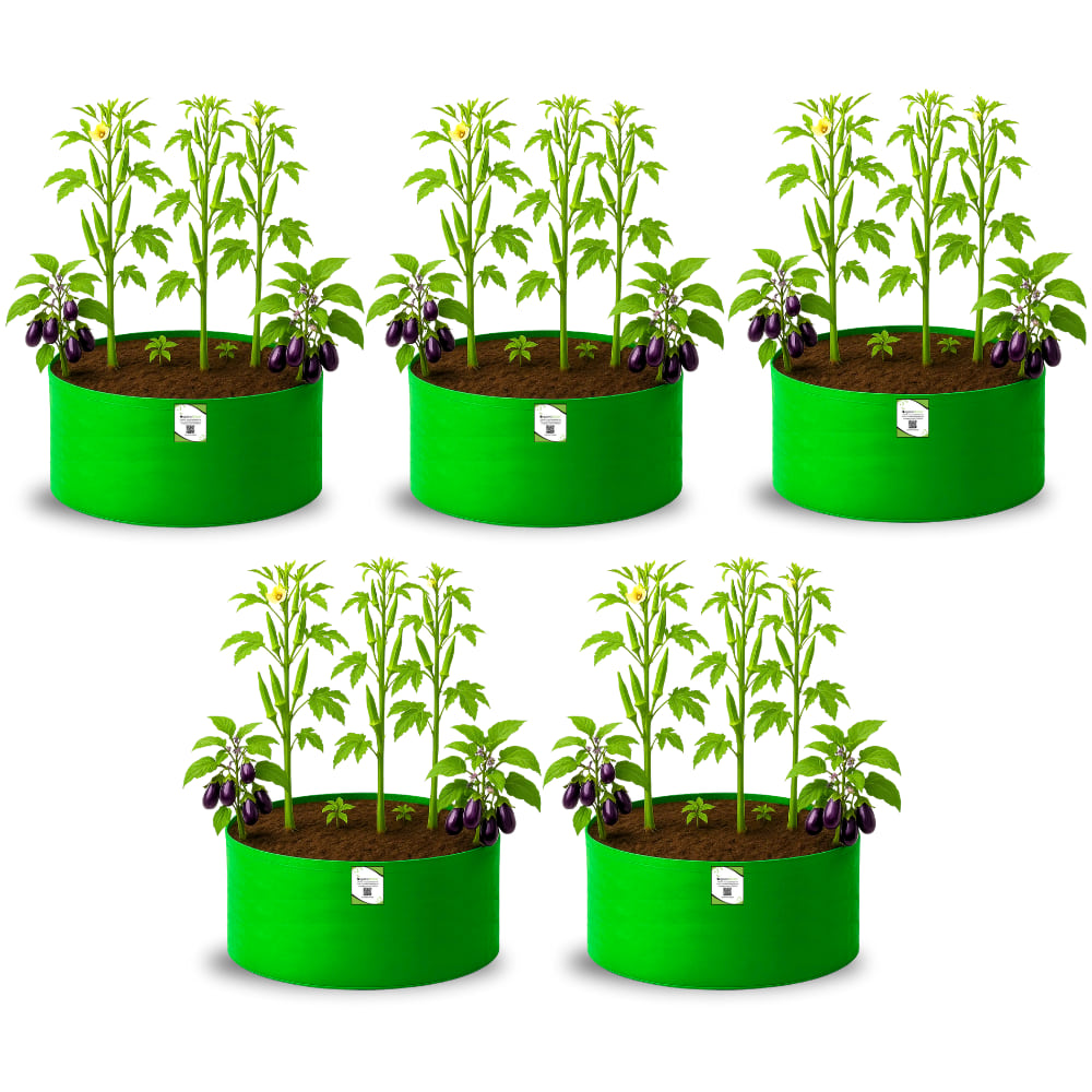 OrganicBazar 24x12 Big Size Grow Bags for Home and Terrace Garden, Premium HDPE 260 GSM Green Plant Bag