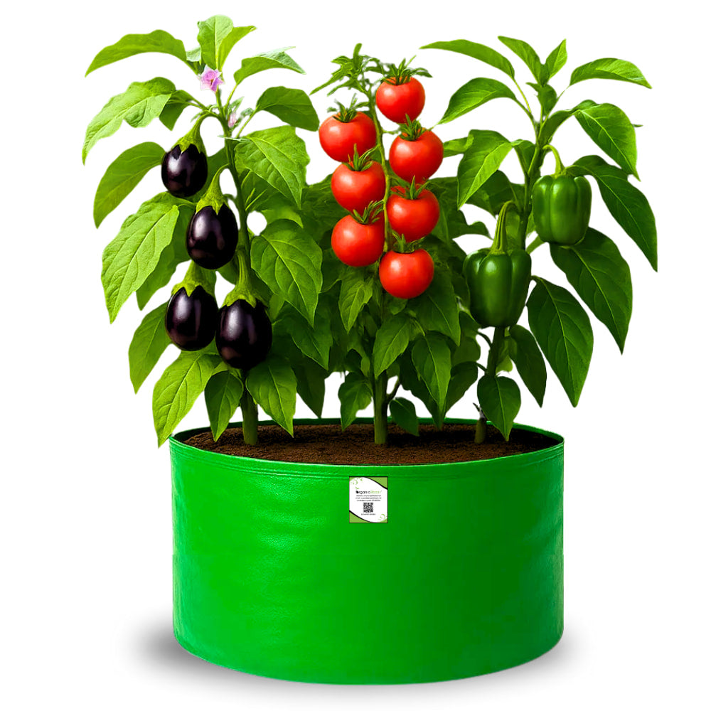 HDPE 24x15 Grow Bags for Home and Terrace Gardening Extra Thick Premium Quality Grow Bags