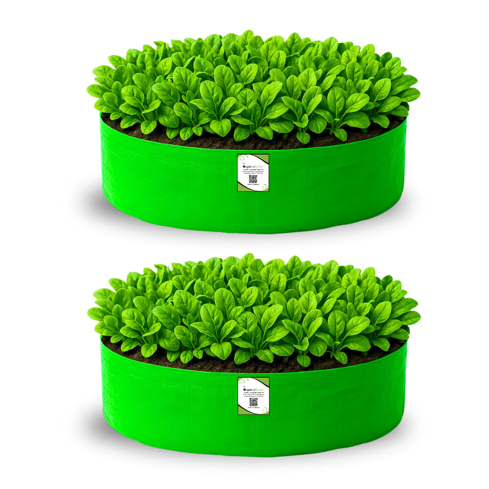 OrganicBazar 24x6 Grow Bag for Leafy Vegetables, Premium HDPE 260 GSM, Green Plant Bags for Terrace Garden