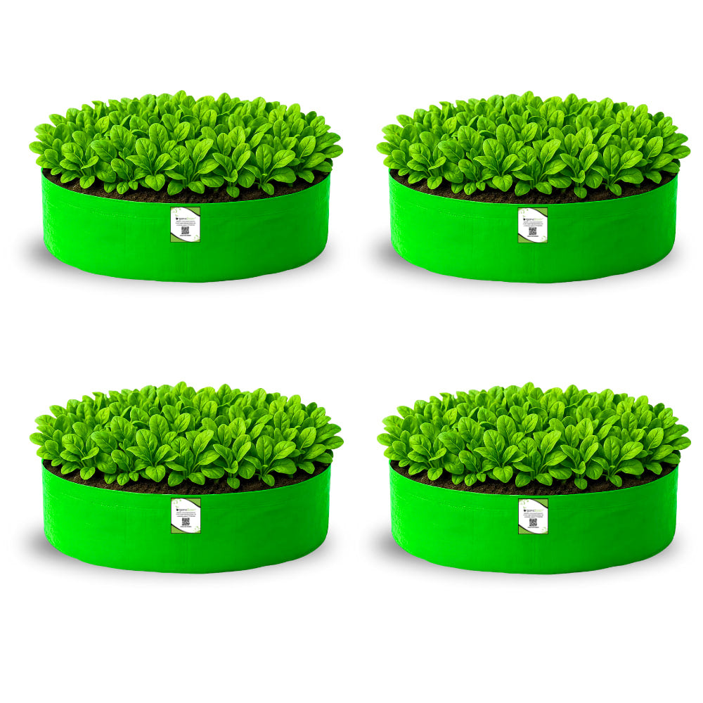OrganicBazar 24x6 Grow Bag for Leafy Vegetables, Premium HDPE 260 GSM, Green Plant Bags for Terrace Garden