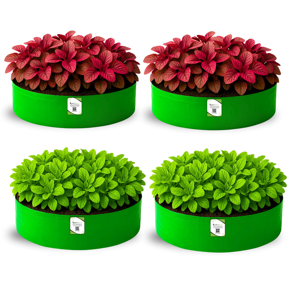 OrganicBazar 24x9 Grow Bag for Leafy Vegetables, Premium HDPE 260 GSM, Green Plant Bags for Terrace Garden