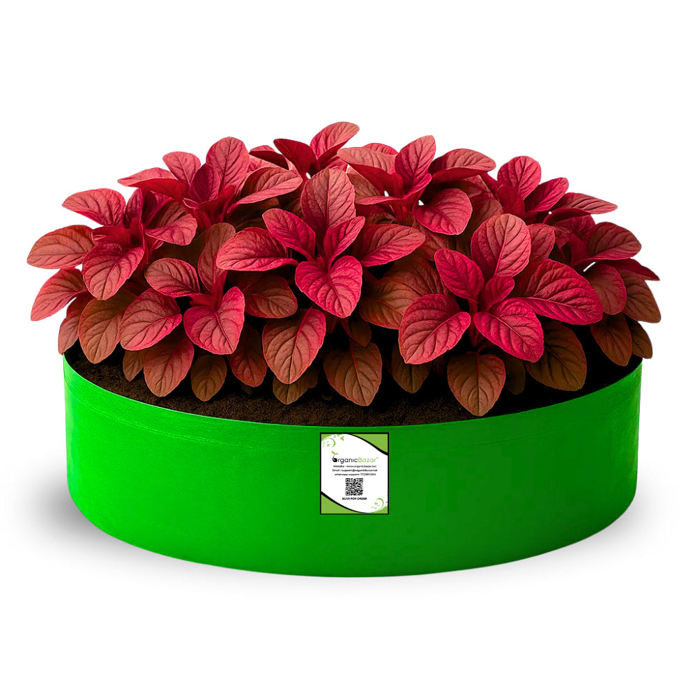 OrganicBazar 24x9 Grow Bag for Leafy Vegetables, Premium HDPE 260 GSM, Green Plant Bags for Terrace Garden