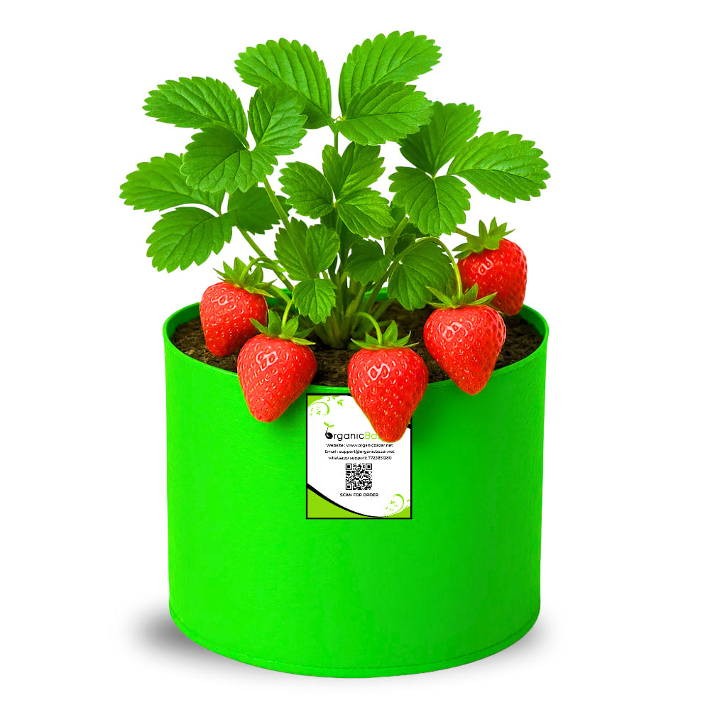 OrganicBazar 6x6 Small Size Grow Bag for Home Gardening, Premium HDPE 260 GSM, Green Plant Bags