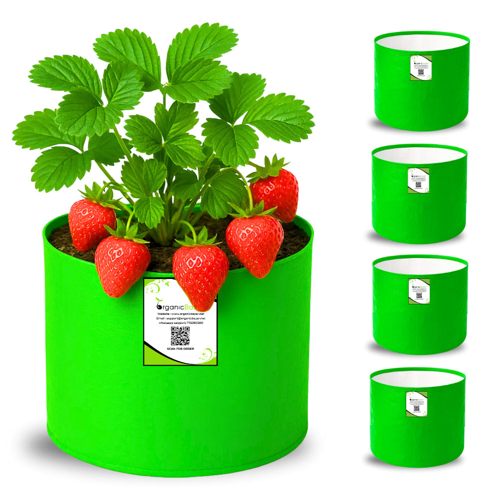 OrganicBazar 6x6 Small Size Grow Bag for Home Gardening, Premium HDPE 260 GSM, Green Plant Bags