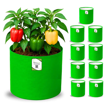 OrganicBazar 9x12 Grow Bag for Terrace Garden, Premium HDPE 260 GSM, Green Plant Bags