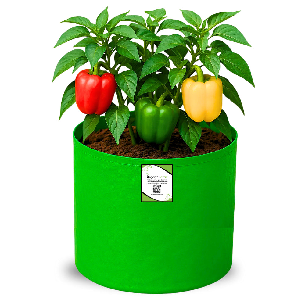 OrganicBazar 9x12 Grow Bag for Terrace Garden, Premium HDPE 260 GSM, Green Plant Bags