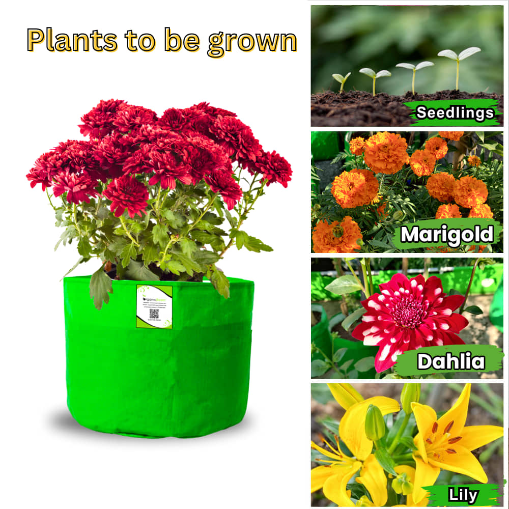 OrganicBazar 9x6 Small Grow Bag for Terrace Garden, Premium HDPE 260 GSM, Green Plant Bags