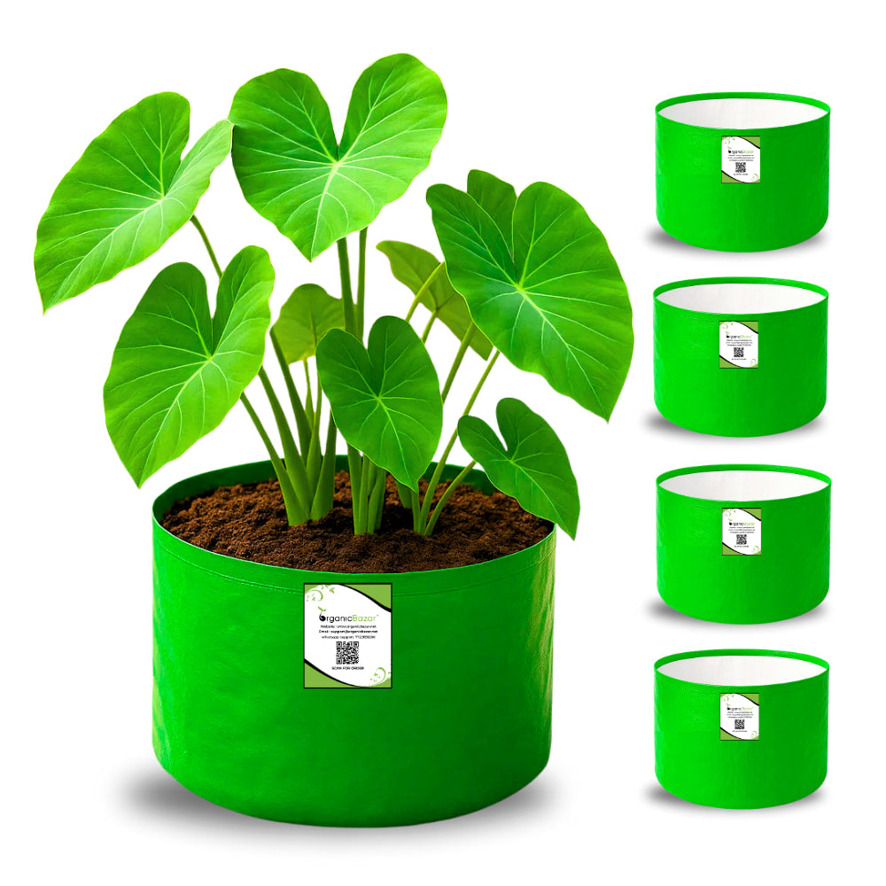 OrganicBazar 9x6 Small Grow Bag for Terrace Garden, Premium HDPE 260 GSM, Green Plant Bags