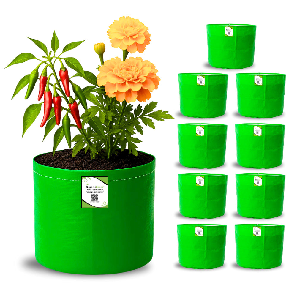 OrganicBazar 9x9 Small Grow Bag for Terrace Garden, Premium HDPE 260 GSM, Green Plant Bags