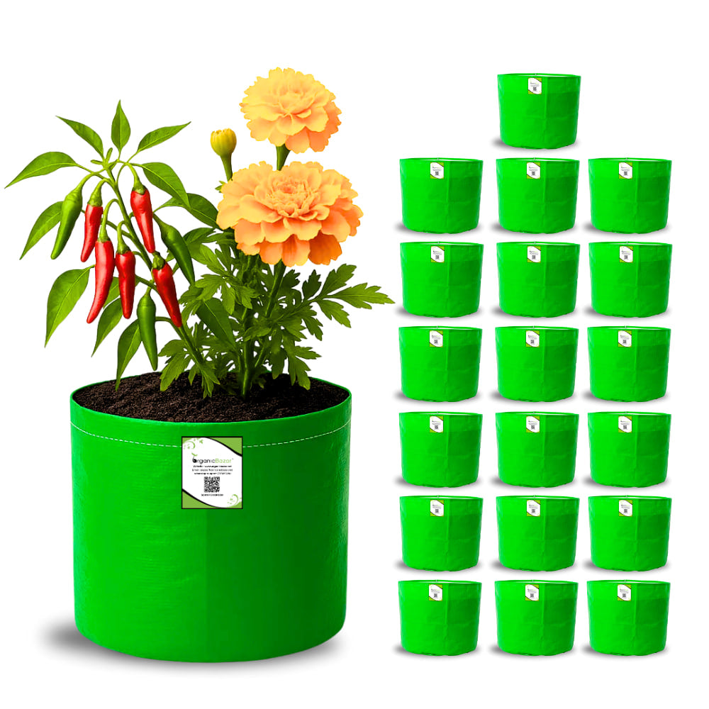 OrganicBazar 9x9 Small Grow Bag for Terrace Garden, Premium HDPE 260 GSM, Green Plant Bags
