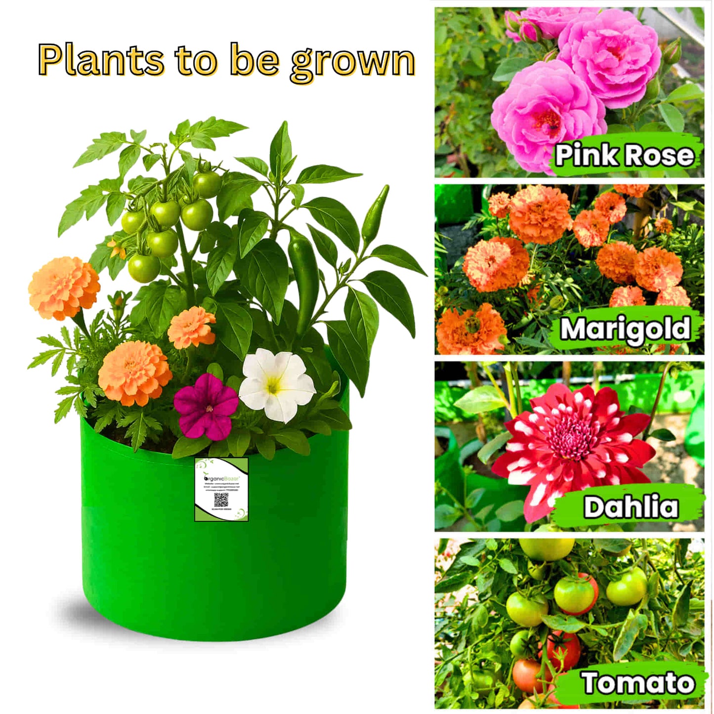 OrganicBazar 15x9 Grow Bag for Terrace Garden, Premium HDPE 260 GSM, Green Plant Bags