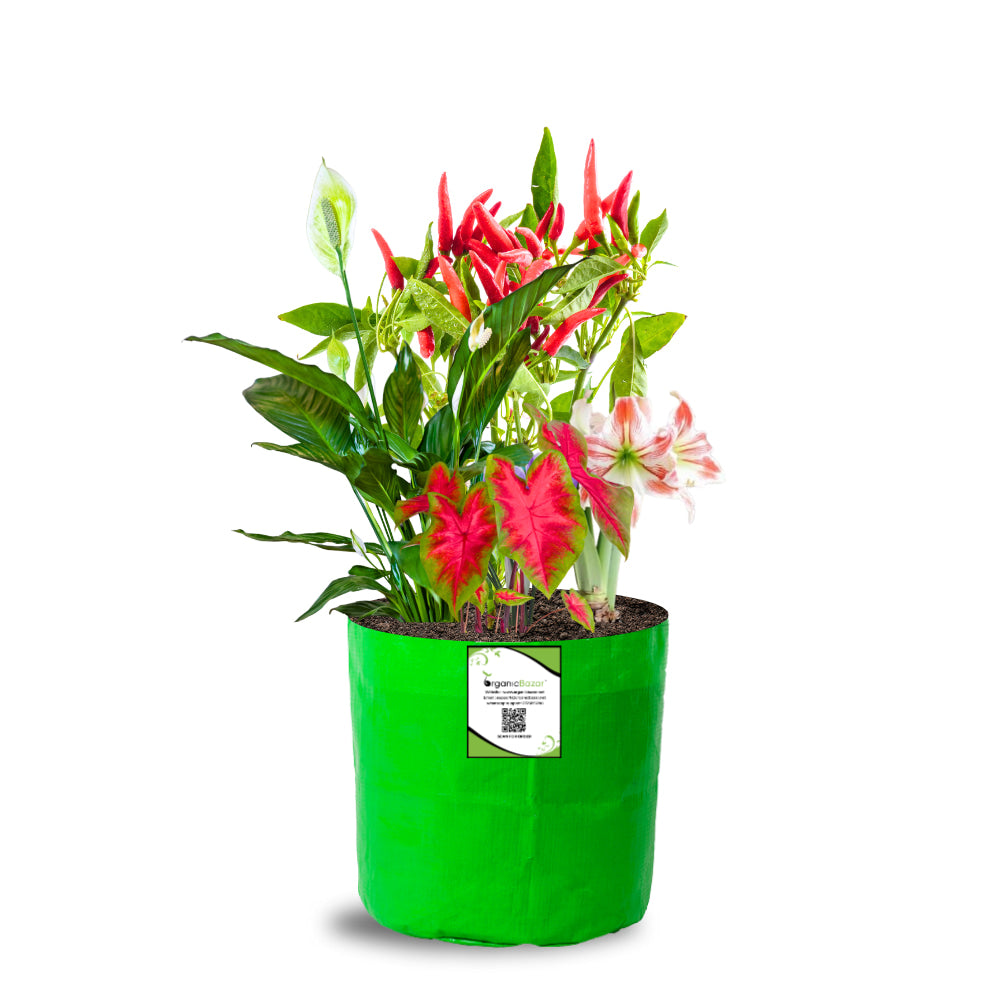 OrganicBazar 8x8 Grow Bags for Terrace Garden, Premium HDPE 260 GSM, Green Plant Bags