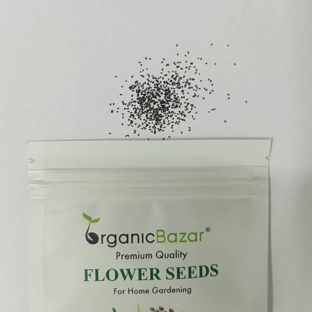 Iceland Poppy Mix Seeds (400 Seeds)