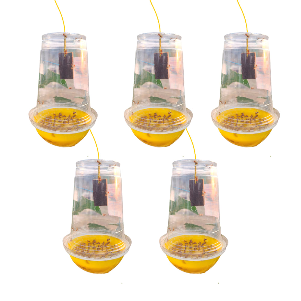 Melon Fruit Fly Trap With Pheromone Lure For Organic Gardening