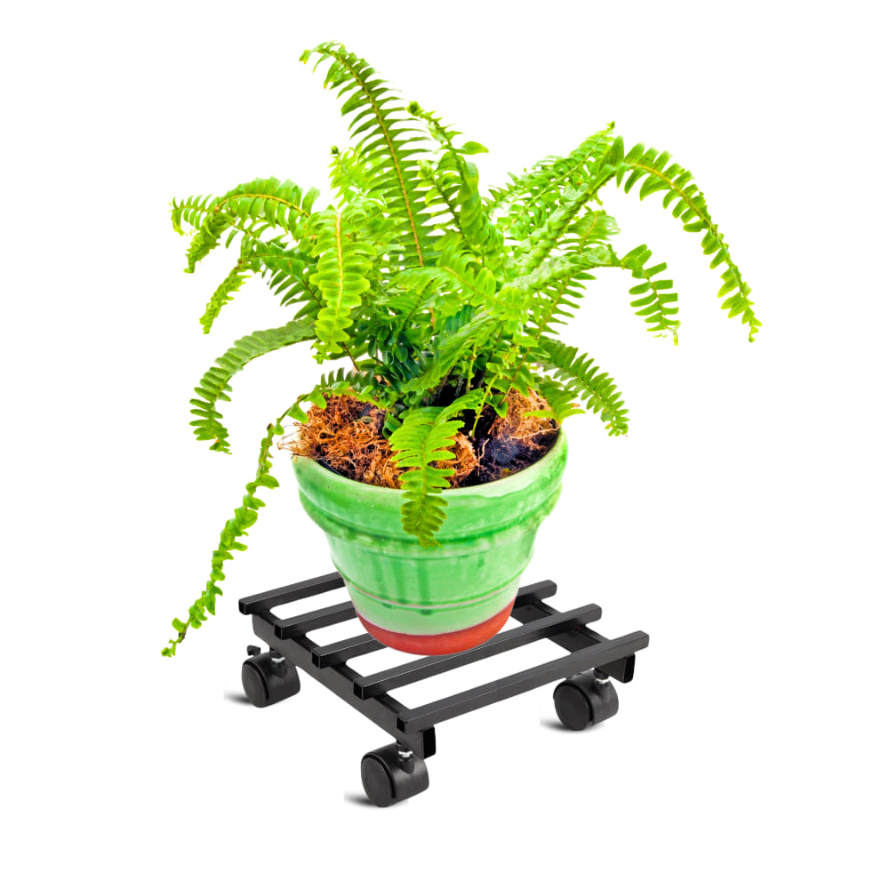 OrganicBazar Heavy Duty Plant Stand with Wheels | Plant Caddy with Wheel | Wheel Pot Trolley for Balcony, Indoor & Outdoor Garden | Rust-Proof Metal Gamla Stand (Black, Pack of 2)