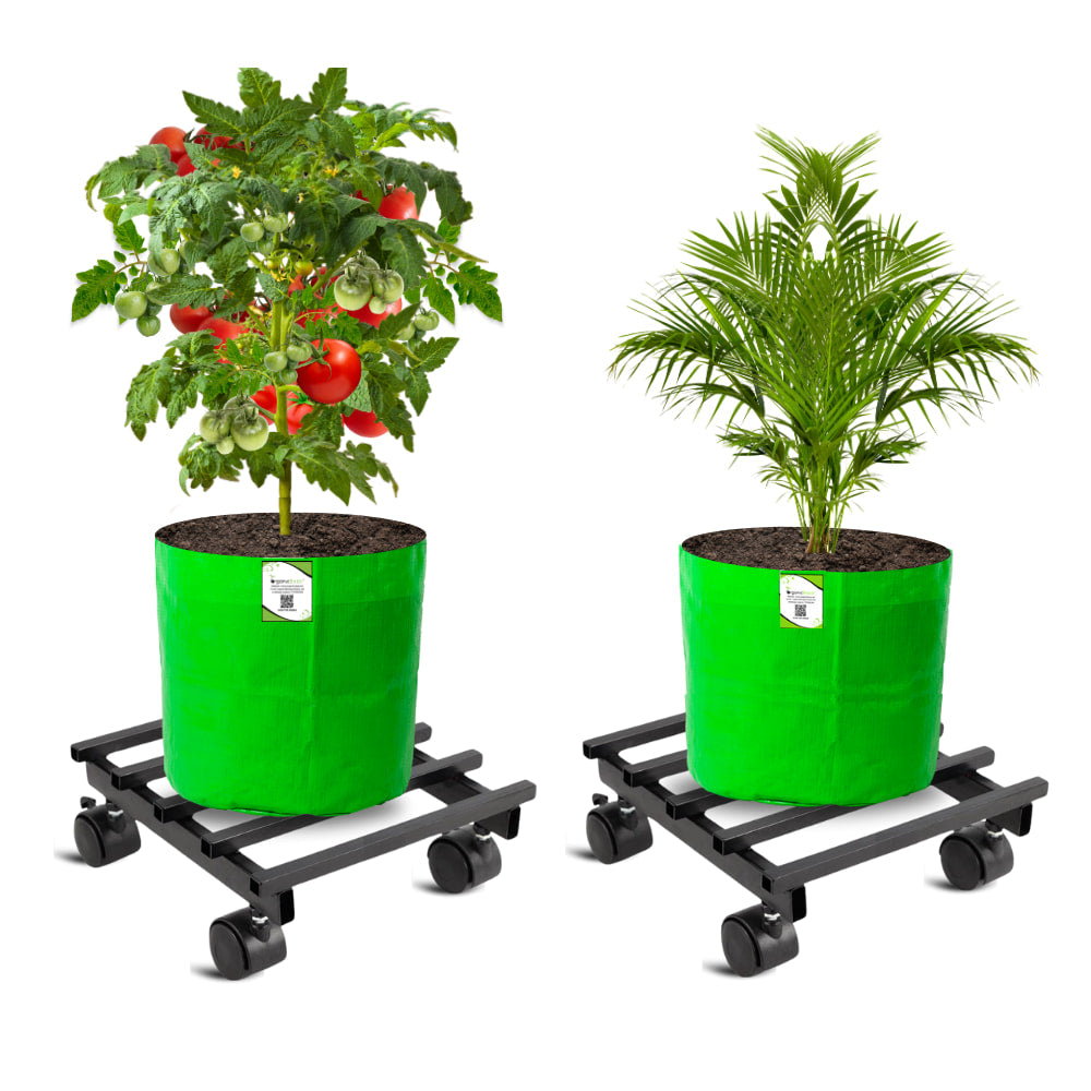 OrganicBazar Heavy Duty Plant Stand with Wheels | Plant Caddy with Wheel | Wheel Pot Trolley for Balcony, Indoor & Outdoor Garden | Rust-Proof Metal Gamla Stand (Black, Pack of 2)