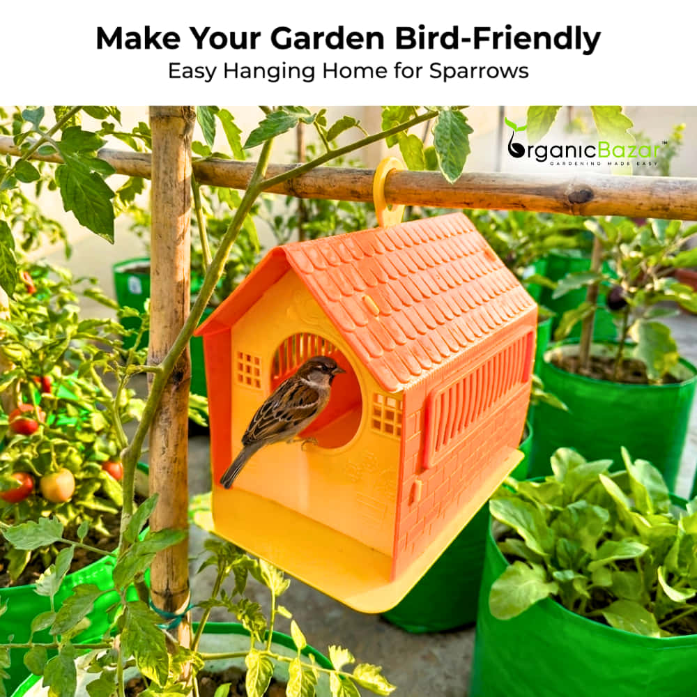 Plastic Bird House Foldable Bird Nest for Sparrows | Outdoor Nesting Shelter for Balcony & Garden | Lightweight & Weather-Resistant Bird Home with Air Ventilation