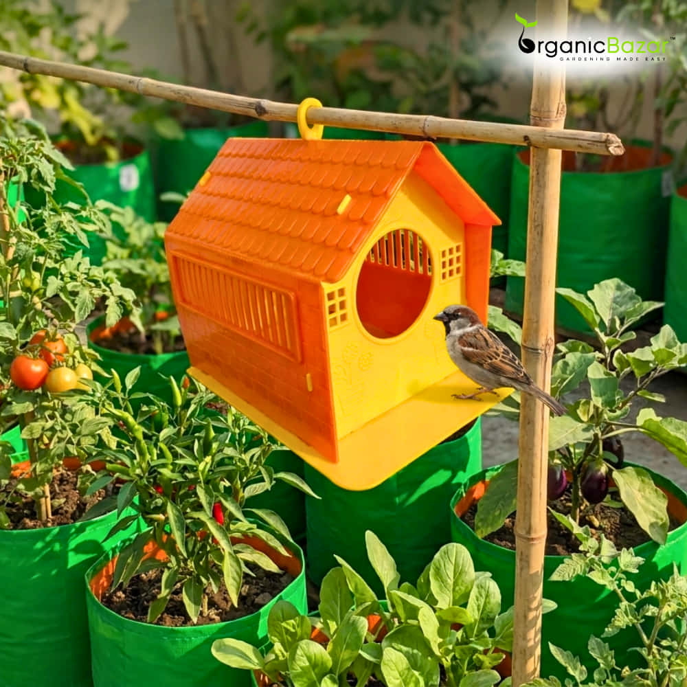 Plastic Bird House Foldable Bird Nest for Sparrows | Outdoor Nesting Shelter for Balcony & Garden | Lightweight & Weather-Resistant Bird Home with Air Ventilation