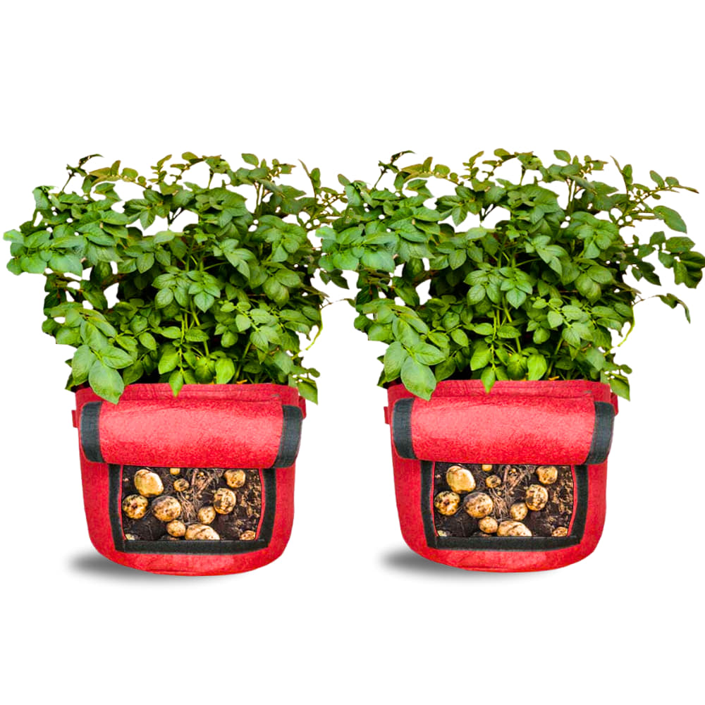 Geo Fabric 15X12 Potato Grow Bag With Harvest Window For Terrace Gardening Suitable For Vegetable and Flower Plants