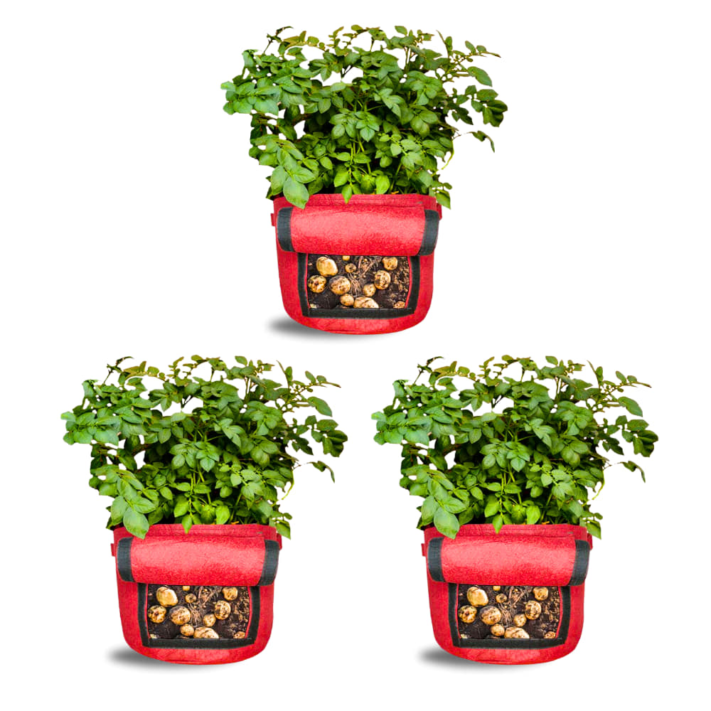 Geo Fabric 15X12 Potato Grow Bag With Harvest Window For Terrace Gardening Suitable For Vegetable and Flower Plants