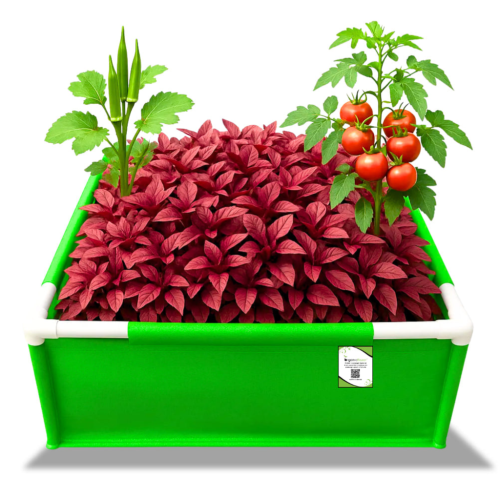 OrganicBazar 24x18x12 Rectangular Grow Bags with PVC Support Pipes for Terrace Garden