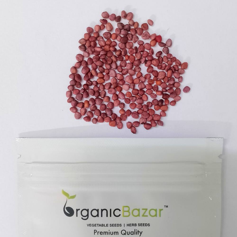 Red Round Radish Seeds - 200 Seeds (Gol Mooli/लाल गोल मूली के बीज)