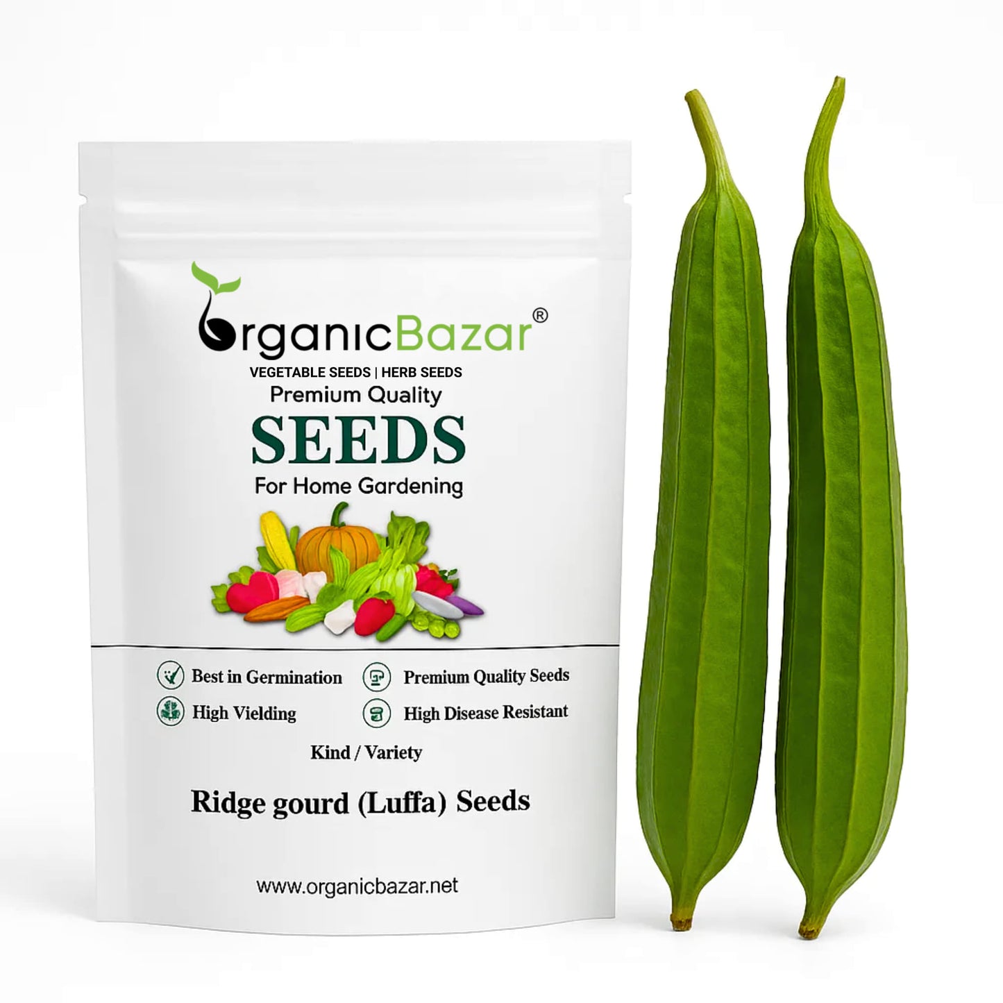 Ridge gourd or Luffa (Turai) Seeds - 12 Seeds (तुरई के बीज) Easy To grow, High Germination, High Yield Seeds for Home Gardening