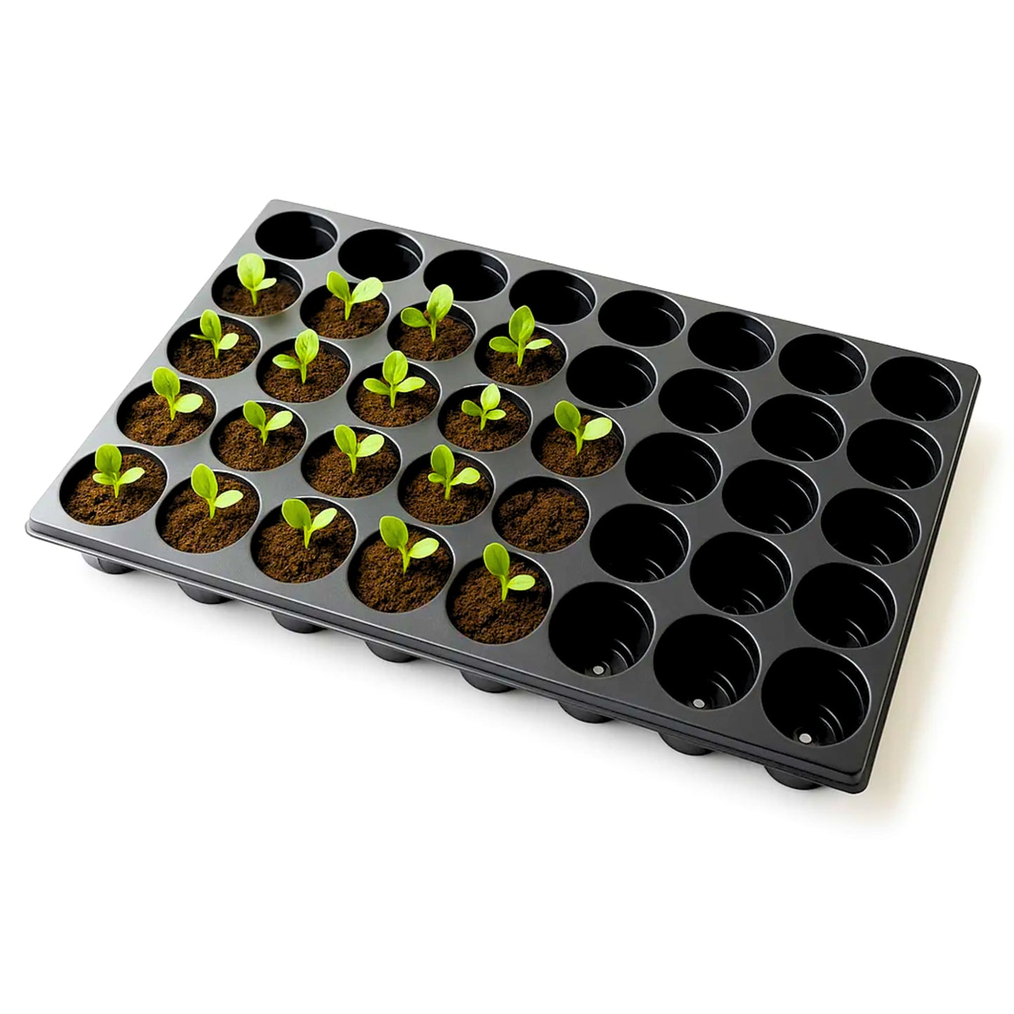 Reusable Seedling Tray (40 Holes, Pack of 5, Black)