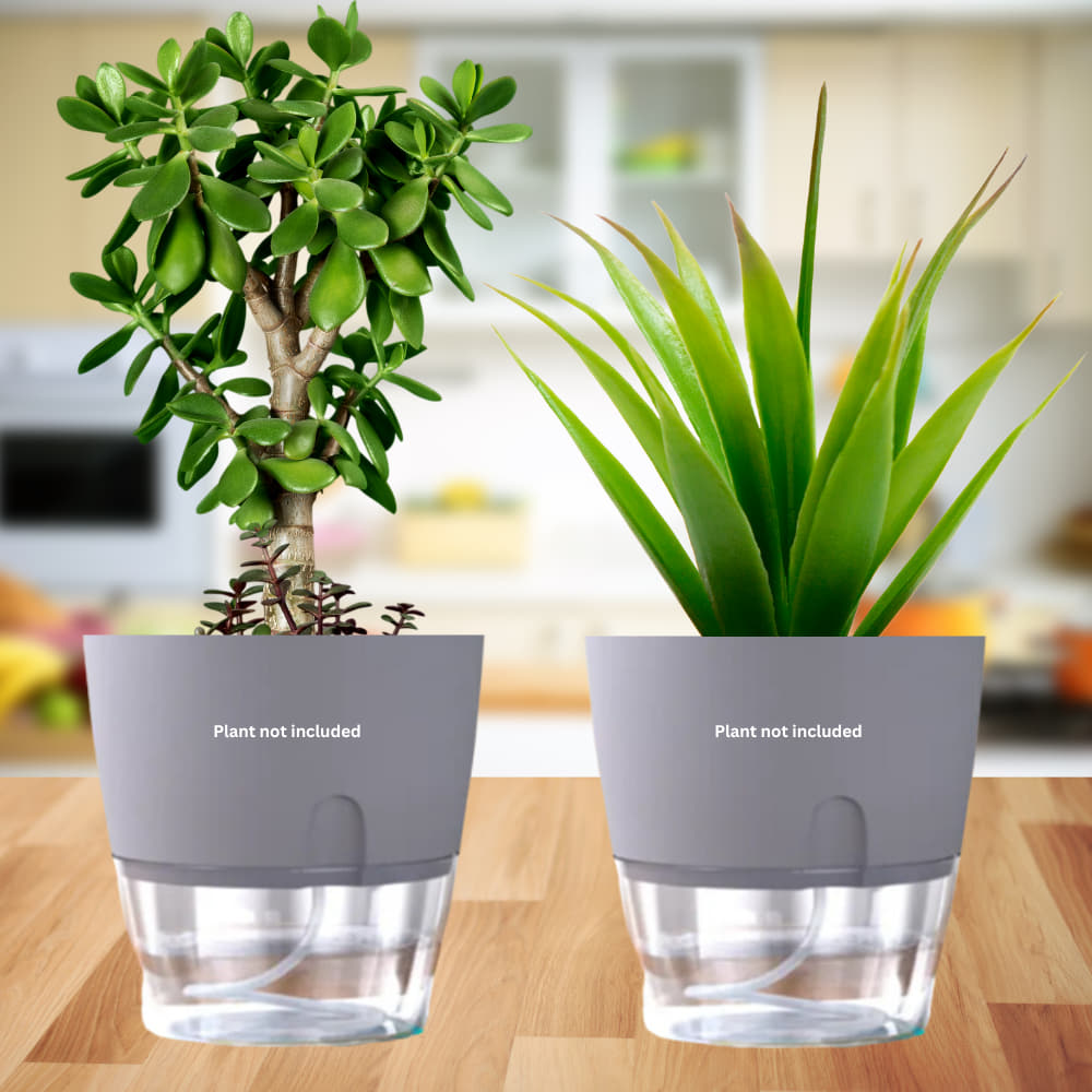 OrganicBazar Self Watering Pot Clear Plastic Decorative Garden Planters (Pack of 2) Without Plant