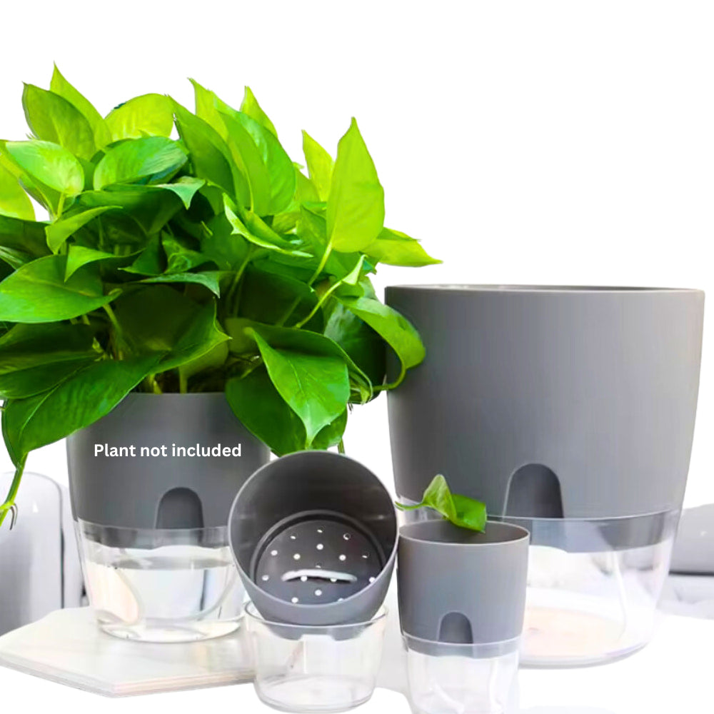 OrganicBazar Self Watering Pot Clear Plastic Decorative Garden Planters (Pack of 2) Without Plant