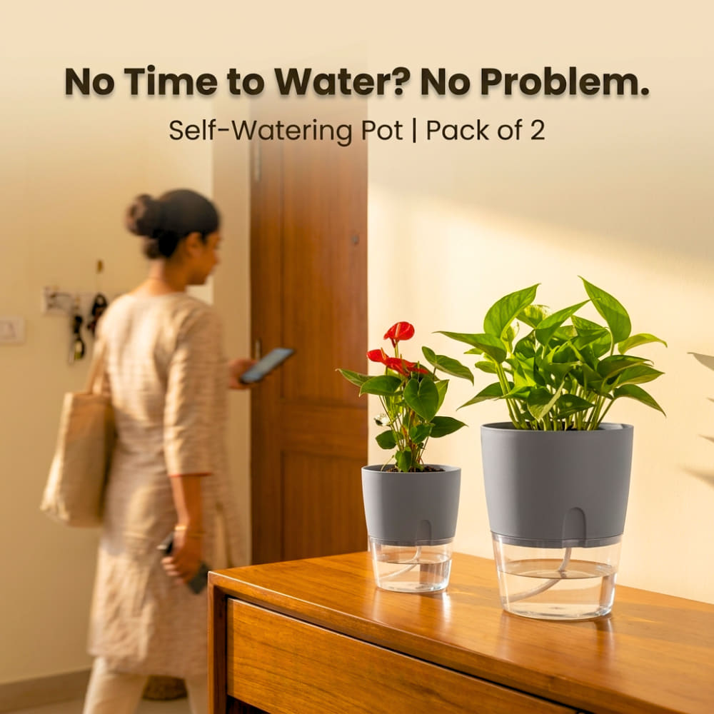 OrganicBazar Self Watering Pot Clear Plastic Decorative Garden Planters (Pack of 2) Without Plant