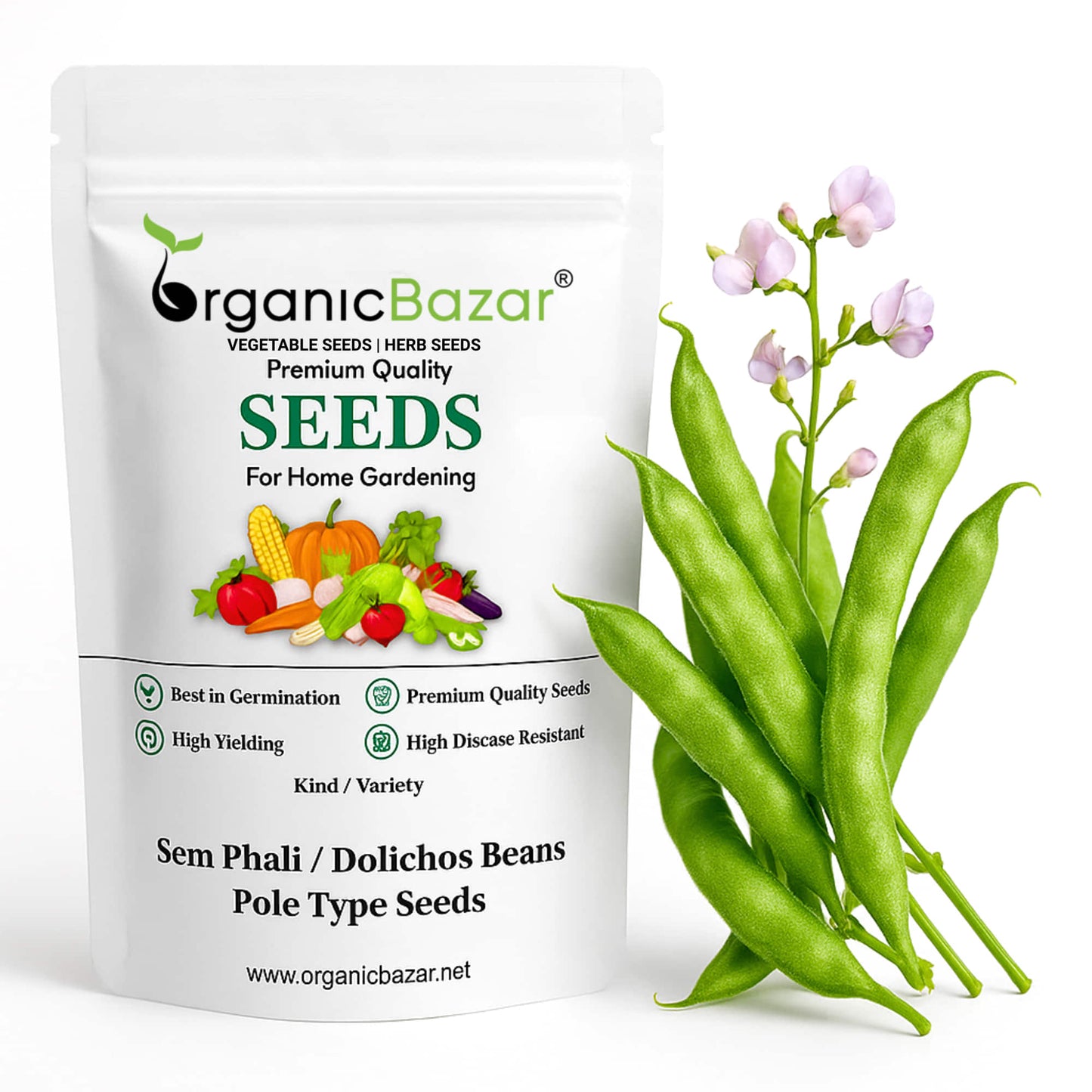 Sem Phali / Dolichos Beans Pole Type Seeds - 20 Seeds (सेम फली के बीज) Easy To grow, High Germination, High Yield Seeds for Home Gardening