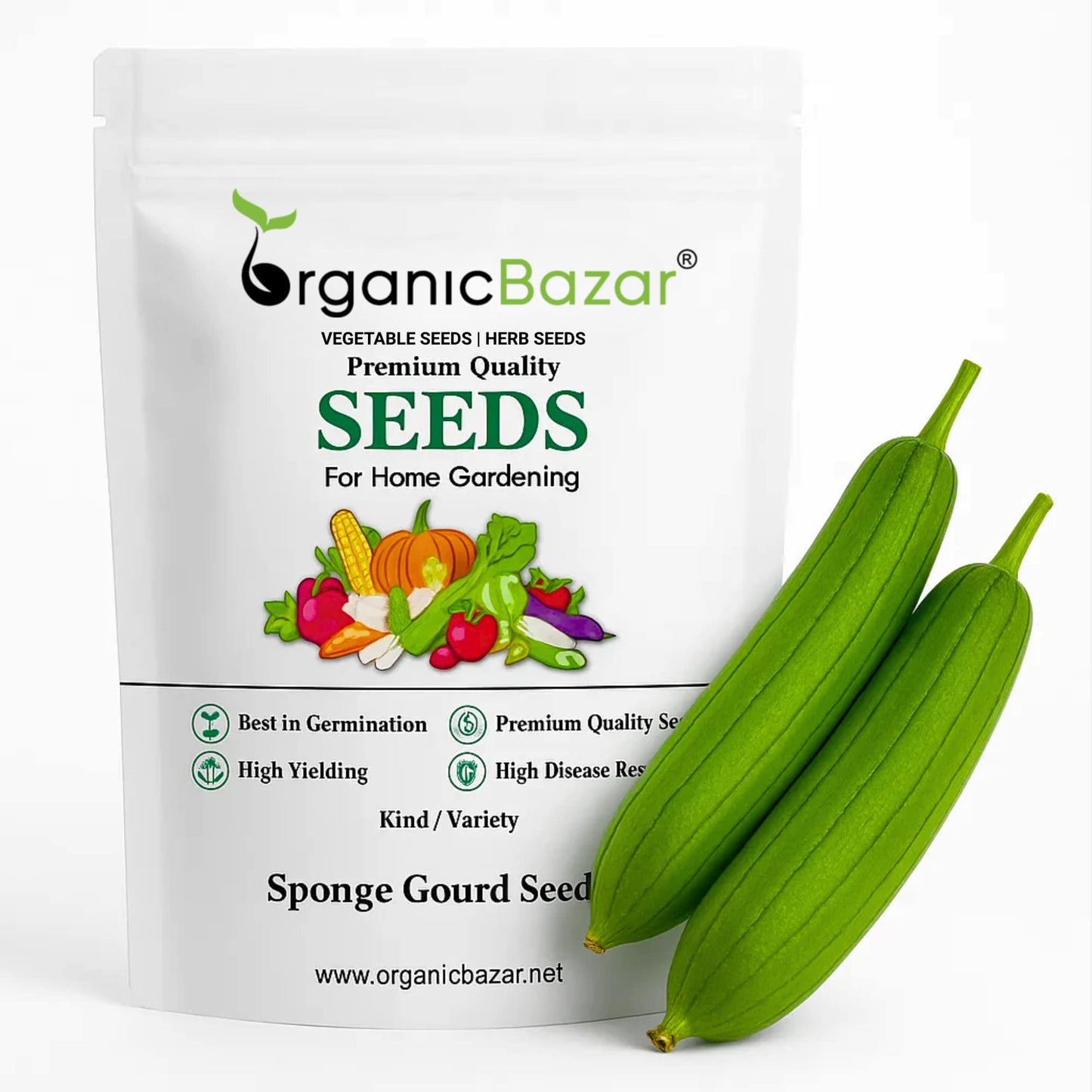 Sponge Gourd (luffa or gilki) Seeds - 12 Seeds (गिलकी के बीज) Easy To grow, High Germination, High Yield Seeds for Home Gardening