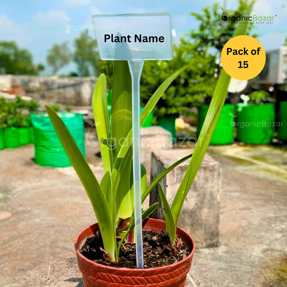 Transparent Plastic T Type Big Plant Tag Marker label White for Home Gardening
