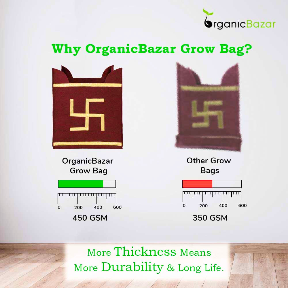 Geo Fabric 10x10 Grow Bag For Tulsi Plant (Tulsi Grow Bag)