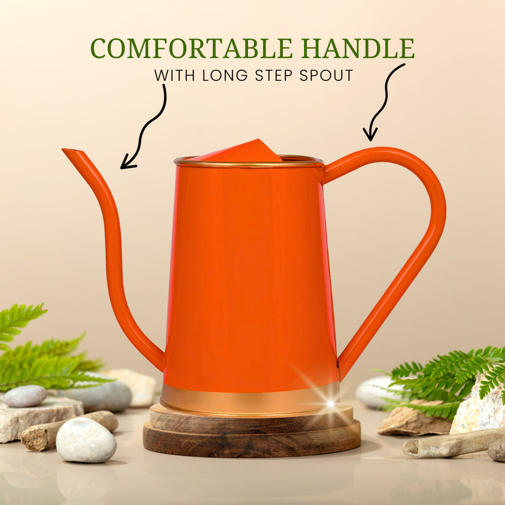 Metal Watering Can For Home Garden