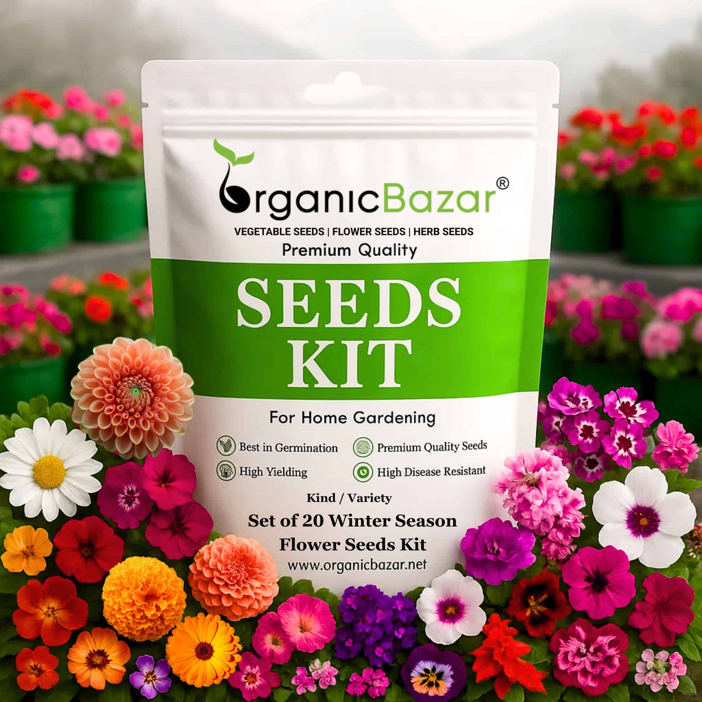 Set of 20 Winter Season Flower Seeds Kit