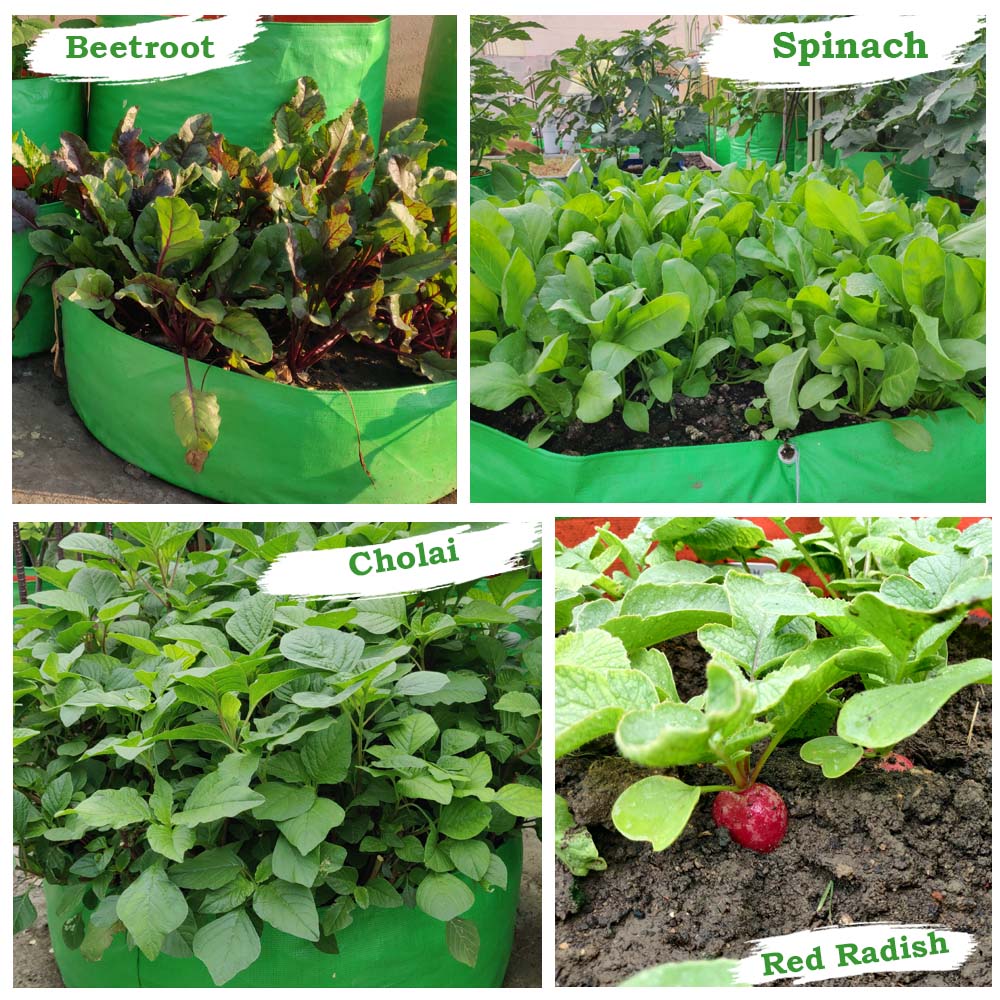 HDPE Grow Bag 24x9 inch