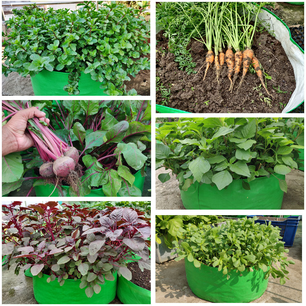 HDPE Grow Bag 18x6 inch