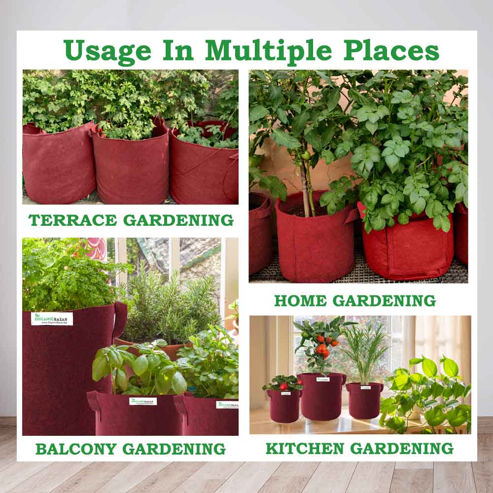 Tulsi grow bag 10x10 inch Geo fabric tulsi grow bags
