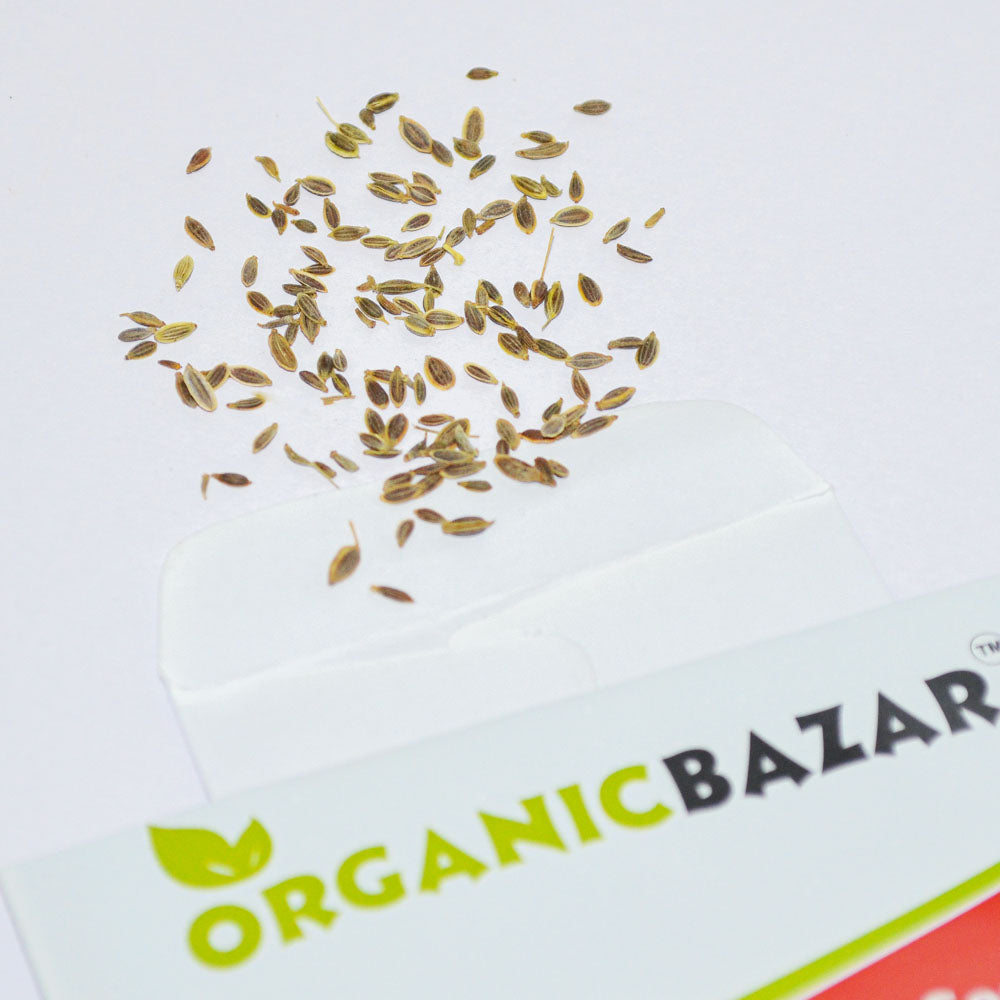 Anise Imported seeds