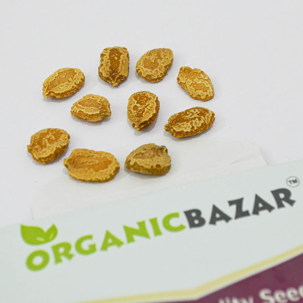 Bitter Gourd Faizabadi Seeds