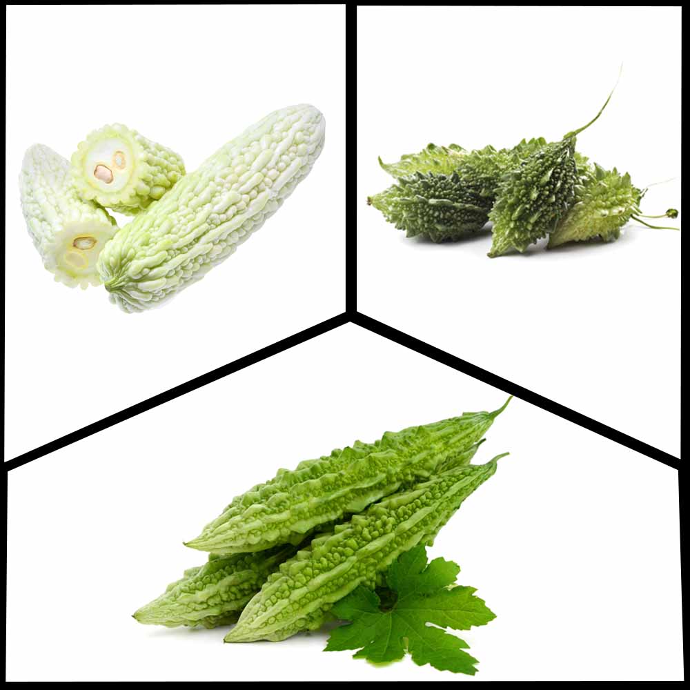 Different Varieties of Bitter Gourd Seeds Packet (Easy To grow, High Germination, High Yield Karela Seeds for Home Gardening)