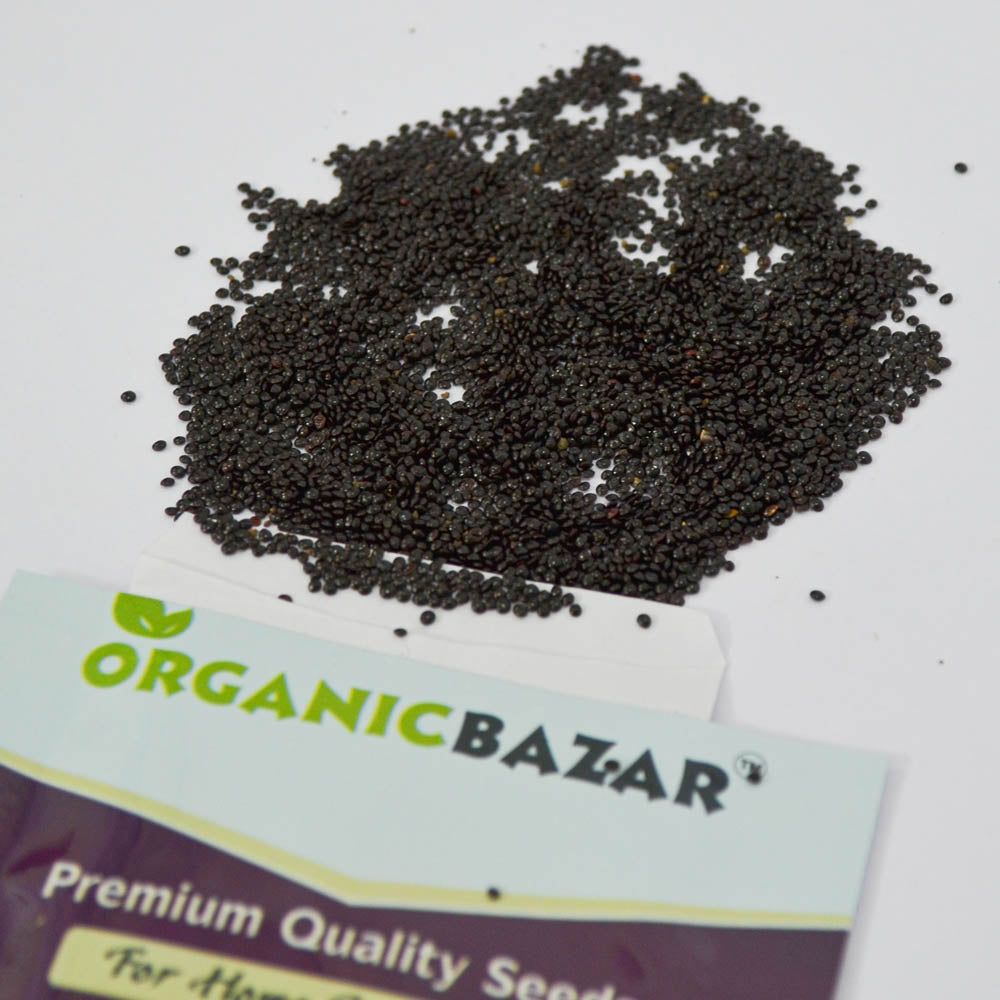 Chaulai Green Amaranth Seeds (5000+ Seeds)