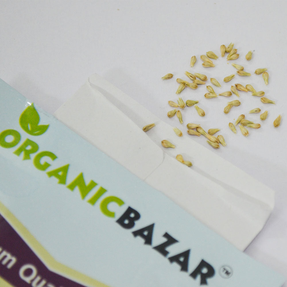 Gomphrena Extra Dwarf Gnome White Seeds